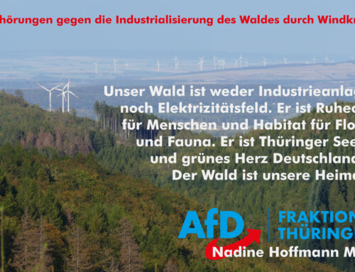 Der Wald ist Thüringer Seele – Keine Industrialisierung durch Windkraft
